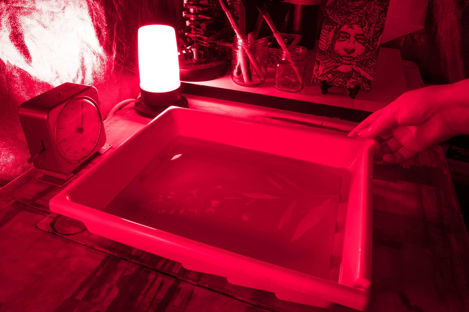 Botanical Photographic Art Print developing under a red light in a photographic darkroom