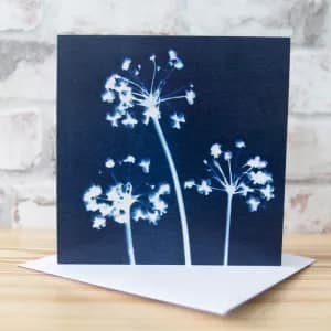 Allium Floral Cyanotype Greeting Card by Alchemi Art