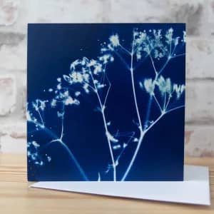 Cow Parsley Floral Greeting Card by Alchemi Art
