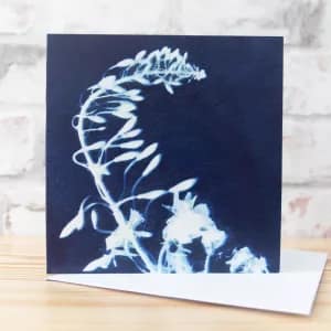 Fireweed Floral Cyanotype Greeting Card by Alchemi Art