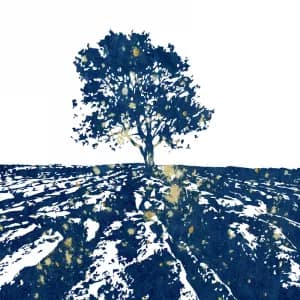 Malham Tree Cyanotype Artwork by Alchemi Art