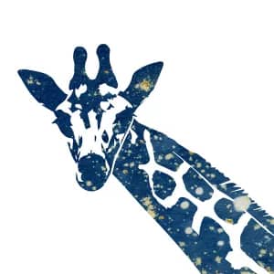 Giraffe by Alchemi Art