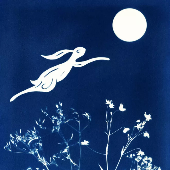 Leaping Hare and Moon by Alchemi Art